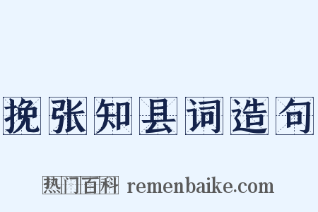 挽张知县词造句是什么意思的图片